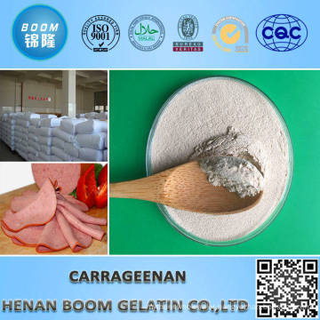 nutritional seaweed white refined carrageenan powder for beer/toothpaste/pet food/air freshener